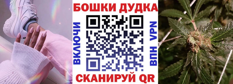 Каннабис сатива Кузнецк