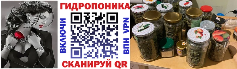 Конопля OG Kush  OMG зеркало  площадка состав  Кузнецк 